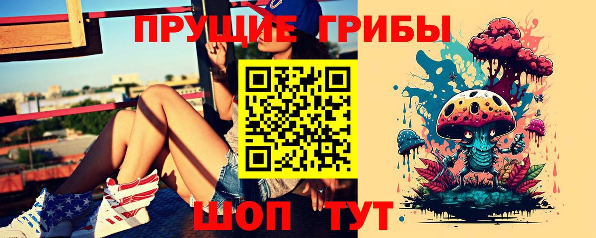Галлюциногенные грибы прущие грибы  Вход с VPN  Качканар 