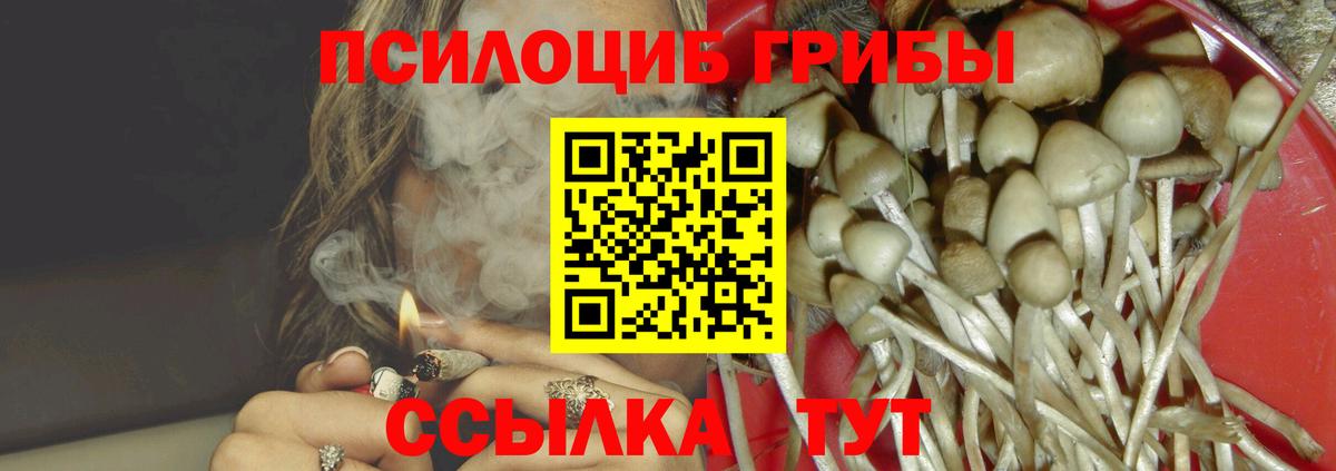 Псилоцибиновые грибы Psilocybe Качканар